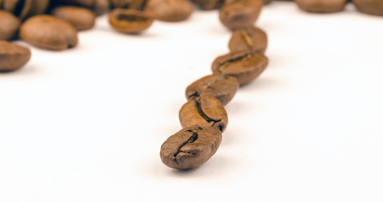 Café e longevidade: desvendando os possíveis benefícios do café para uma vida mais longa