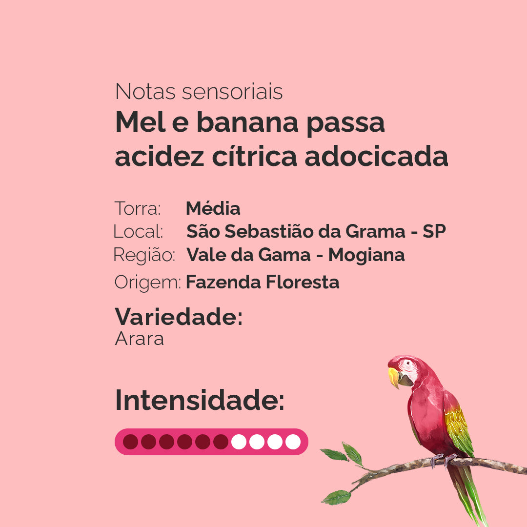 Drip Coffee Arara 10 unidades | Café Fazenda Floresta