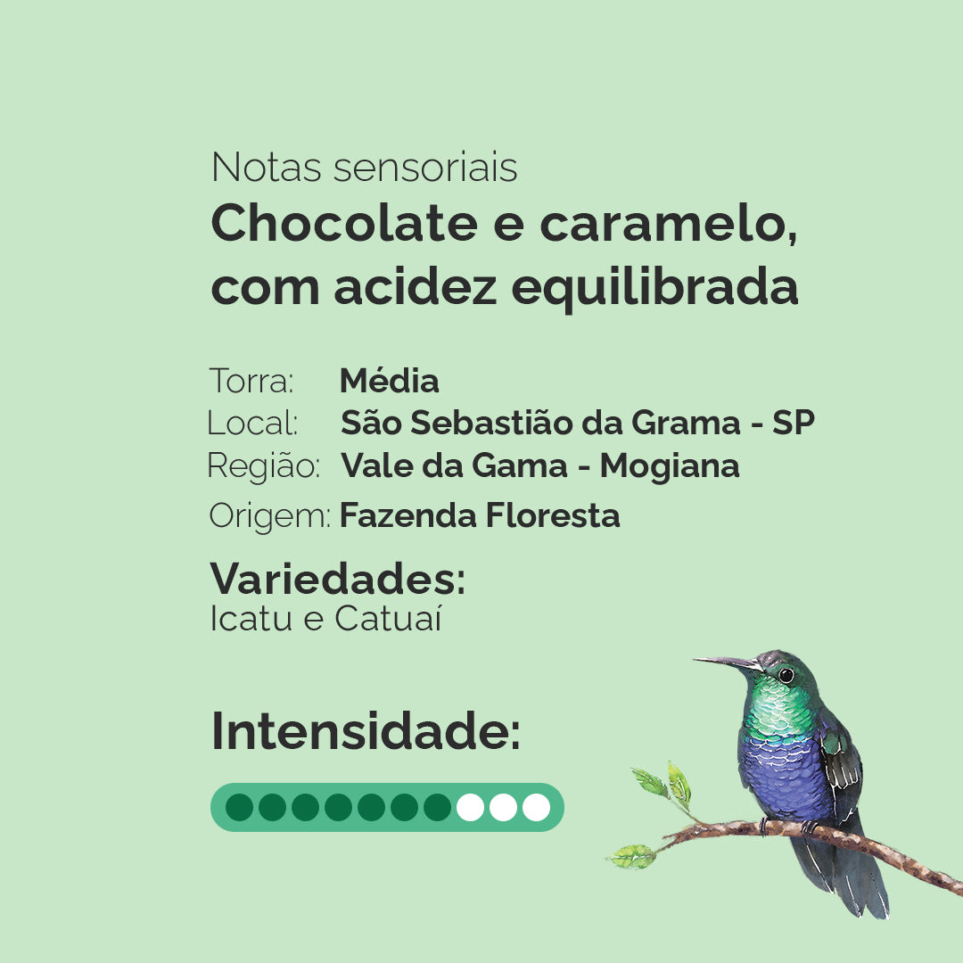 Kit com 4 Cafés Especiais e Caixa de Acrílico