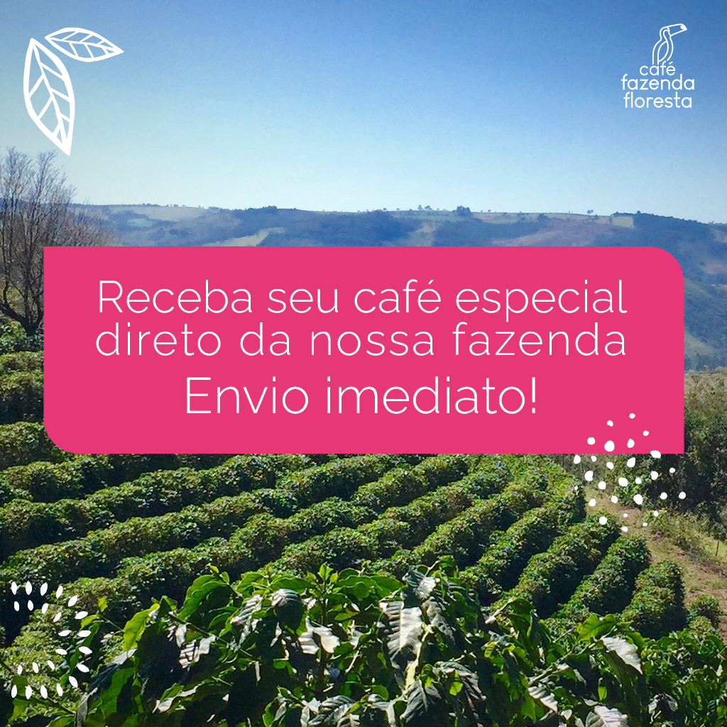 Maleta Drip Coffee | Café Fazenda Floresta