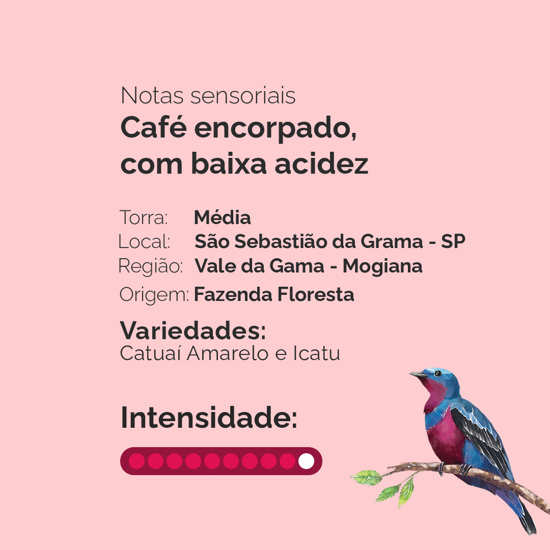 Kit com 4 Cafés Especiais e Caixa de Acrílico