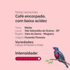 Drip Coffee Intenso 10 unidades | Café Fazenda Floresta