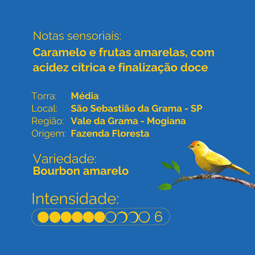 Café especial moído — Bourbon Amarelo 250g | Café Fazenda Floresta