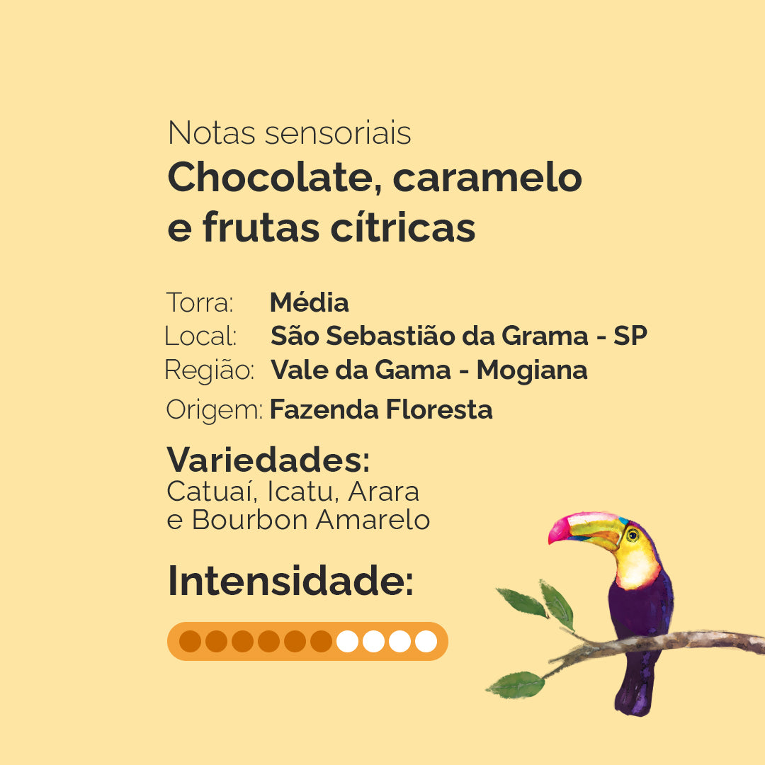 Kit com 4 Cafés Especiais e Caixa de Acrílico