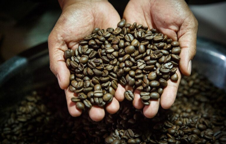 A Importância da Sustentabilidade na Produção de Café