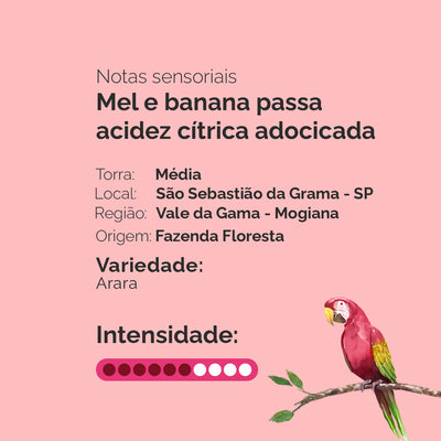 Capa