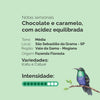 Drip Coffee Clássico 10 unidades | Café Fazenda Floresta